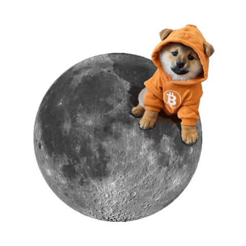 TheDogOfBitcoin giphyupload dog memecoin runestone Sticker