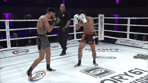 GLORYKickboxing giphyupload muay thai knockouts glory kickboxing GIF