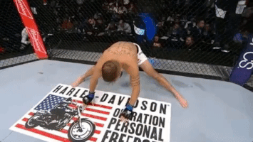 ufc 205 GIF
