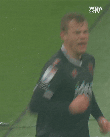 West Brom Championship GIF by West Bromwich Albion