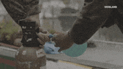 viceland GIF by WEEDIQUETTE