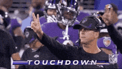 Baltimore Ravens Football GIF by NFL
