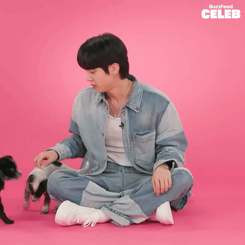Jin Playing with Puppies