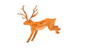 Cassiafa art animal run paint Sticker