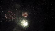 GIF by Kane County Cougars