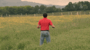 Euskara GIF by EiTB