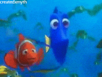 finding nemo sea GIF