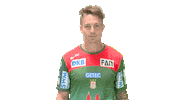 Handball-Bundesliga Handball Sticker by LIQUI MOLY HBL