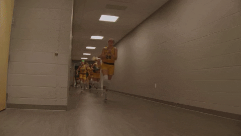 Horns Up GIF by NDSU Athletics