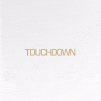 Nfl Touchdown GIF by New Orleans Saints