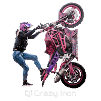 Motorcycle Stuntbike Sticker by Crazy Iron