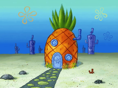 season 6 squid's visit GIF by SpongeBob SquarePants