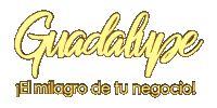 guadalupe guadalupeempresa Sticker by Guadalupepublicidad