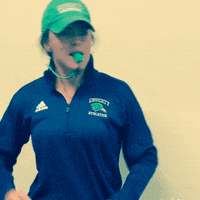lacrosse GIF by Endicott Athletics
