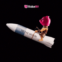 Rakebit win lets go moon hype GIF