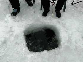 ice swimming GIF by Cheezburger