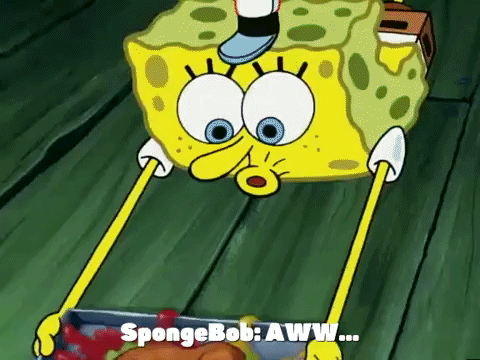 season 5 the original fry cook GIF by SpongeBob SquarePants