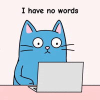 Staring Blue Cat GIF