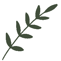 Plant Boho Sticker by theovercompany