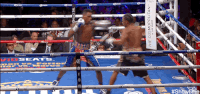 Fight Night boxing GIF by SHOWTIME Sports