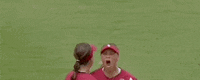 James Madison Softball GIF by NCAA Championships