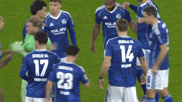 Football Zusammen GIF by FC Schalke 04