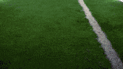 Toledo Football GIF by Toledo Rockets