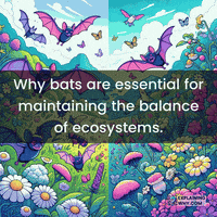 Bats Seeds GIF by ExplainingWhy.com