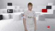 Posing Line Up GIF by Bundesliga