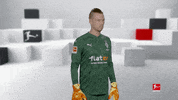 Posing Line Up GIF by Bundesliga