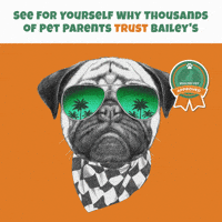 Costa Mesa California GIF by Bailey's CBD