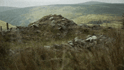 Isle Of Man Manx GIF by Culture Vannin