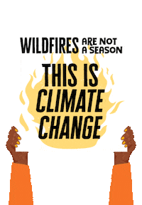 Climate Change Environment Sticker by INTO ACTION