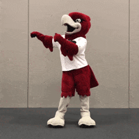 RiponCollege dance bird rally floss GIF