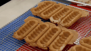 ice cream GIF by THE ICE CREAM SHOW