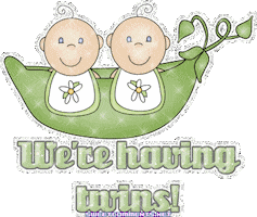 twins STICKER