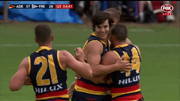 fog GIF by Adelaide Crows