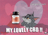 Tom And Jerry Love GIF by Imaginal Biotech