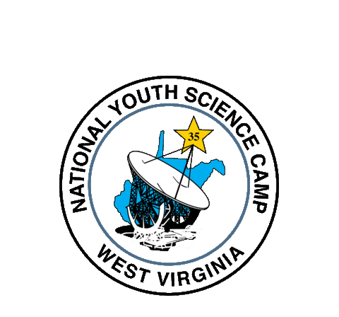 stem nysc Sticker by NYSFoundation