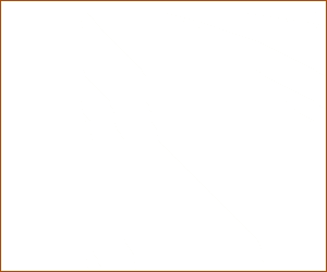 Vollegrondsgroentenet giphyupload GIF