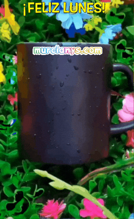 Cafe Dia GIF by Murcianys LLC