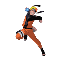 New York Star Sticker by Coach