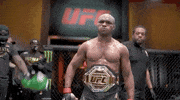 GIF by UFC