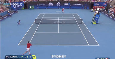 Shapo Covers the Net