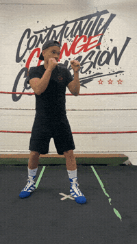 quinitboxing  GIF