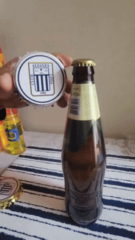 fechata giphyupload GIF