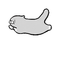 Cat No Sticker