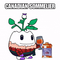 Celebrate Maple Syrup GIF by Magic Eden