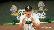College Baseball Sanchez GIF by GreenWave