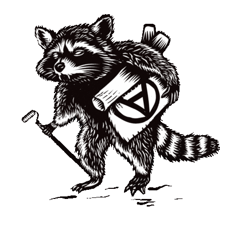 Art Raccoon Sticker